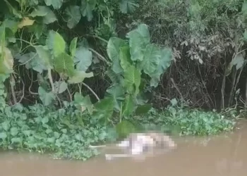 Homem é encontrado morto às margens do rio Poti, na zona Norte de Teresina