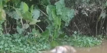 Homem é encontrado morto às margens do rio Poti, na zona Norte de Teresina