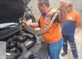 Jiboia de 1,5m invade motor de carro e mobiliza Defesa Civil em Campo Maior