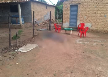 Lavrador é morto a tiros e facadas por vizinho durante bebedeira no Sul do Piauí