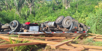 Motorista perde o controle e morre preso às ferragens após caminhão despencar no interior do Piauí