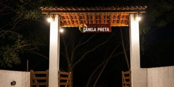 Criatório Canela Preta se destaca em José de Freitas como referência nacional em genética de aves