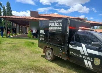 Idoso morre após ataque de abelhas no povoado Cristovinho, em Picos