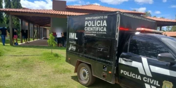 Idoso morre após ataque de abelhas no povoado Cristovinho, em Picos