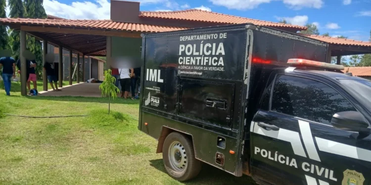 Idoso morre após ataque de abelhas no povoado Cristovinho, em Picos