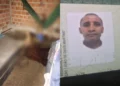 Corpo de idoso é encontrado em decomposição dentro de casa em Campo Maior