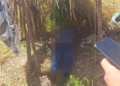 Idoso de 74 anos morre após passar mal enquanto trabalhava em roça no interior do Piauí