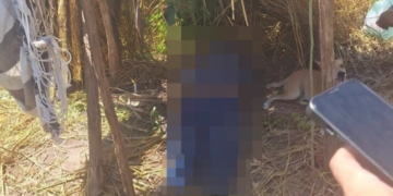 Idoso de 74 anos morre após passar mal enquanto trabalhava em roça no interior do Piauí