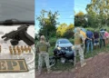 Polícia prende cinco suspeitos após homicídio em José de Freitas