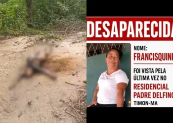 Corpo de mulher é encontrado carbonizado às margens da BR-316, em Timon