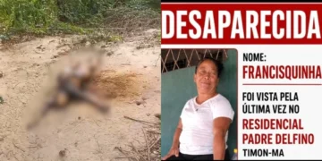 Corpo de mulher é encontrado carbonizado às margens da BR-316, em Timon