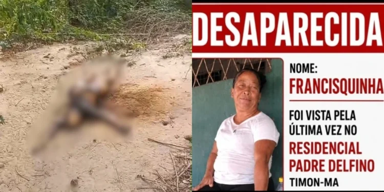 Corpo de mulher é encontrado carbonizado às margens da BR-316, em Timon