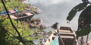 Corpo em decomposição é encontrado à margens do Rio Poti, em Teresina