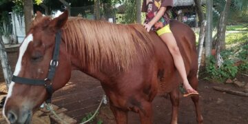 Menino que passou mal após achar égua morta recebe doação de dois cavalos no Piauí