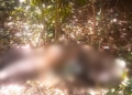 Corpo é encontrado em estado de decomposição em matagal na zona Sul de Teresina