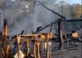 Homem é preso suspeito de incendiar casa do próprio cunhado após discussão no interior do Piauí