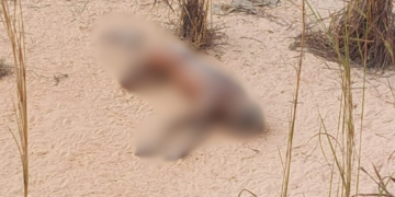 Corpo em avançado estado de decomposição é encontrado na zona Sul de Teresina