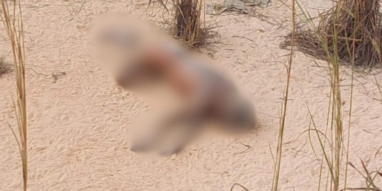 Corpo em avançado estado de decomposição é encontrado na zona Sul de Teresina