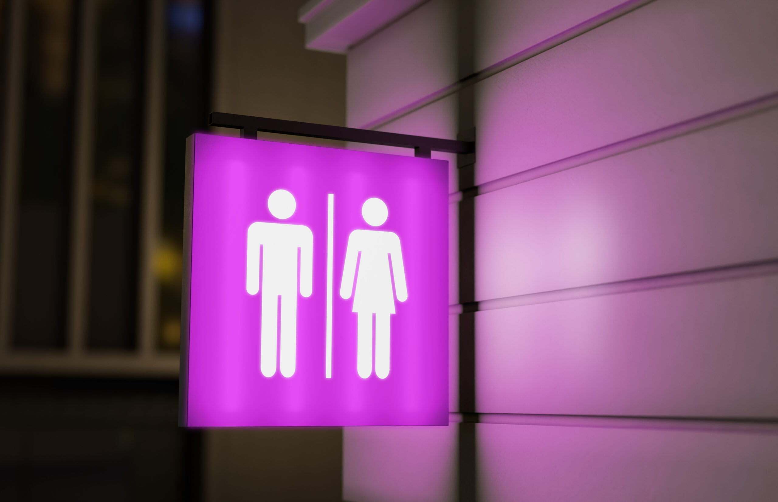 Sílvio Mendes sanciona lei que proíbe uso de banheiros femininos por mulheres trans em Teresina
