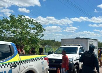 Corpo em decomposição é encontrado às margens da PI-112, em José de Freitas; vítima pode ser jovem desaparecido