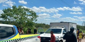 Corpo em decomposição é encontrado às margens da PI-112, em José de Freitas; vítima pode ser jovem desaparecido