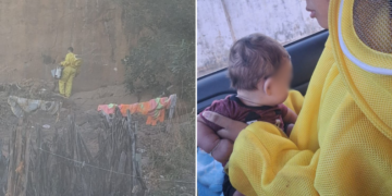 Mãe e bebê são salvos de ataque de abelhas no Piauí; cadela da família morreu