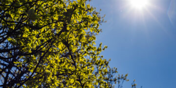 Cidade do Piauí registra maior temperatura e menor umidade do Brasil