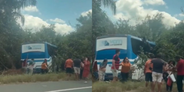 Motorista passa mal, desvia de caminhão e ônibus sai da pista na BR-343, em Altos