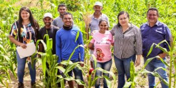 Programa abre 130 vagas com bolsa de R$ 1 mil para jovens no Piauí