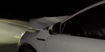 Carro bate de frente com cavalo solto na PI-113 entre José de Freitas e Teresina