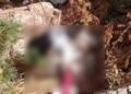 Corpo de mulher amarrado e enrolado em lençóis é encontrado em matagal no Piauí