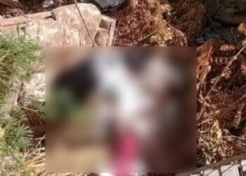 Corpo de mulher amarrado e enrolado em lençóis é encontrado em matagal no Piauí
