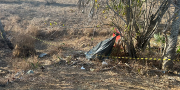 Motociclista morre após perder controle de moto e colidir com carnaúba no Piauí
