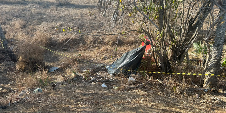 Motociclista morre após perder controle de moto e colidir com carnaúba no Piauí