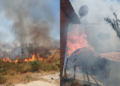 Incêndio atinge vegetação, mata animais e destrói casebre em Monsenhor Gil