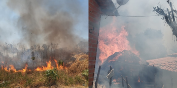 Incêndio atinge vegetação, mata animais e destrói casebre em Monsenhor Gil