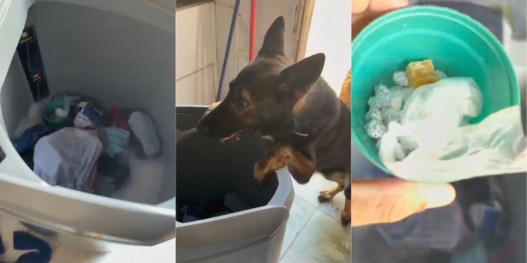 Drogas são encontradas dentro de máquina de lavar durante operação em Parnaíba