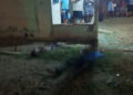 Irmãos são mortos a tiros enquanto bebiam em residência na zona Sul de Teresina
