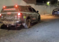 Briga entre vizinhos termina com dois cães mortos a tiros em Nazária