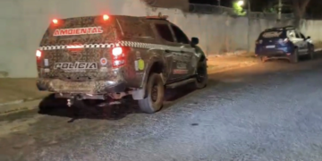 Briga entre vizinhos termina com dois cães mortos a tiros em Nazária