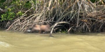 Corpo de homem é encontrado entre raízes às margens de rio no Piaui