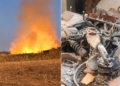 Homem é detido suspeito de incendiar a própria casa e a da mãe em Oeiras