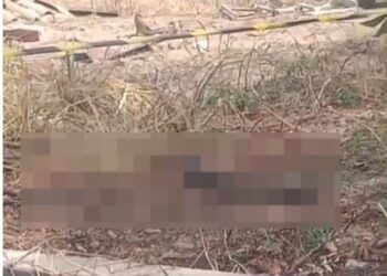 Corpo de menino de 11 anos é encontrado esquartejado em Teresina