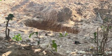 Corpo é encontrado em cova rasa em horta na zona Norte de Teresina
