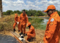 Bombeiros resgatam três cães de estrutura com água contaminada em Oeiras