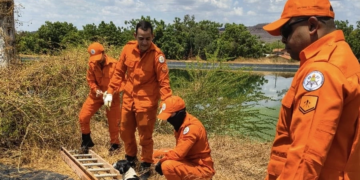 Bombeiros resgatam três cães de estrutura com água contaminada em Oeiras